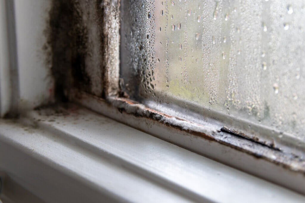 Close-up of window with condensation and visible mould damage.